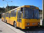 338_2007-09-16_1